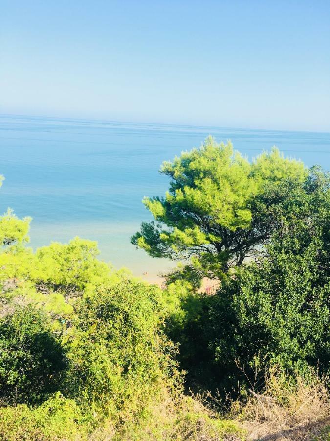 Casa Michela Βίλα Vico Del Gargano Εξωτερικό φωτογραφία