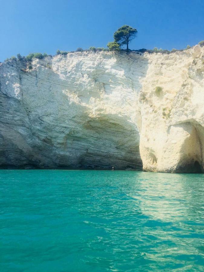 Casa Michela Βίλα Vico Del Gargano Εξωτερικό φωτογραφία