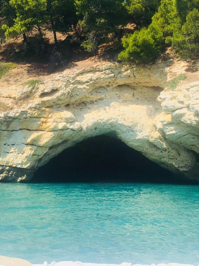 Casa Michela Βίλα Vico Del Gargano Εξωτερικό φωτογραφία